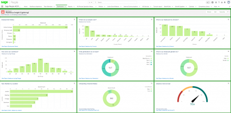 Sage People Dashboards - Lightning examples of pre-built Insight dashboard. Learn more.