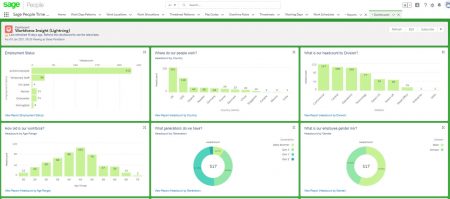 Sage People Dashboards - Lightning examples of pre-built Insight dashboard. Learn more.